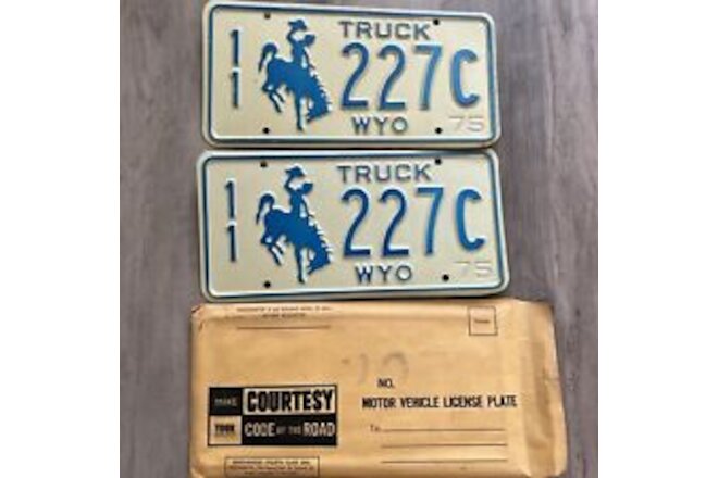 1975 NOS Wyoming TRUCK Cowboy & Horse License Plate Plates PAIR / SET #227C