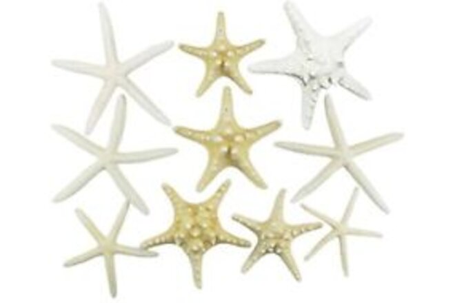 , Inc. Starfish Mix