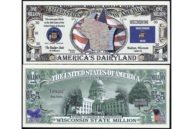 WISCONSIN STATE MILLION DOLLAR w MAP, SEAL, FLAG, CAPITOL - Lot of 10 BILLS