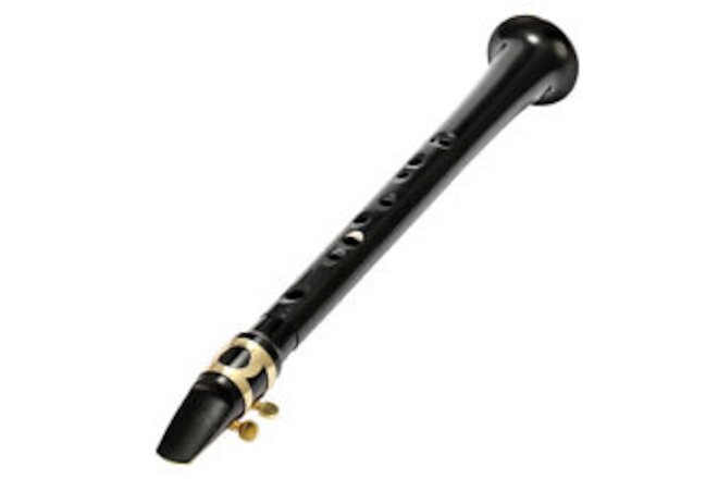 Portable Mini Sax Pocket Saxophone C Key Woodwind Instrument with Carry Bag N5Y4
