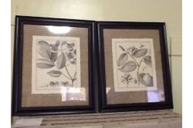 Black framed Botanical Prints Set of two, new in box, Home Interiors & Gifts GTC