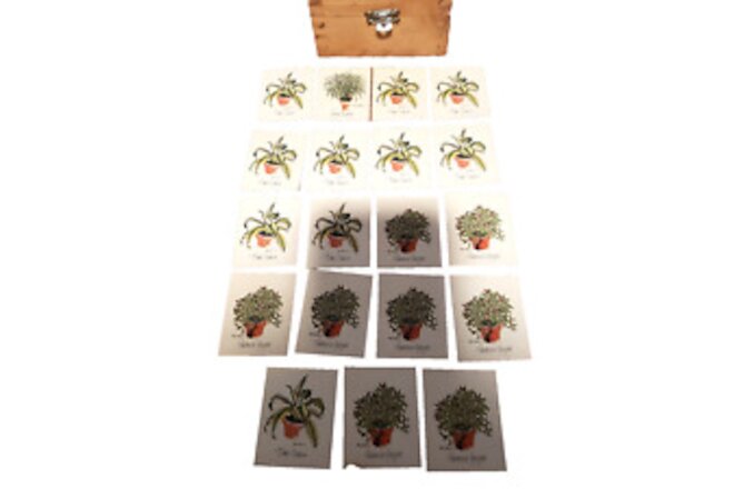 Vintage Dandeleau Miniature Notecards Wooden Box Plants Tobasco Pepper