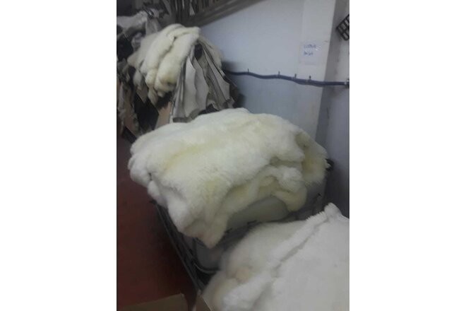 Genuine Sheepskin Natural White Leather SKIN BULK 20 PIECES $30