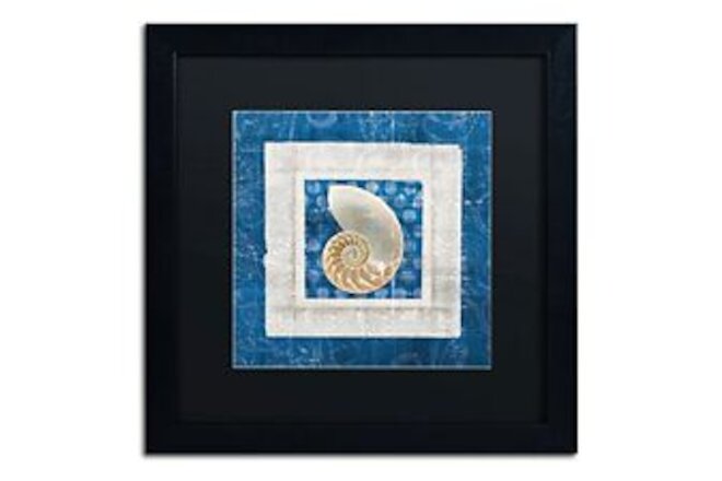 Sea Shell II on Blue Black Matte Artwork by Belinda Aldrich, 16 by 16-Inch, B...