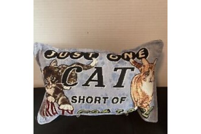 Cat Throw Pillow Tapestry “One Cat Short”