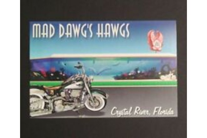Mad Dawgs Hawgs Harley Davidson FL Dealership Advertising Motorcycle Postcard a