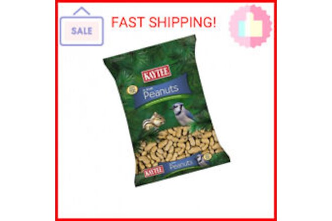 Kaytee Peanuts in Shell for Squirrels, Woodpeckers, Nuthatches, Jays, Towhees, C