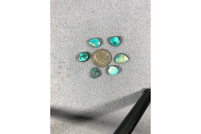Batch of Small Carico Lake Turquoise Cabochons-16 Carats