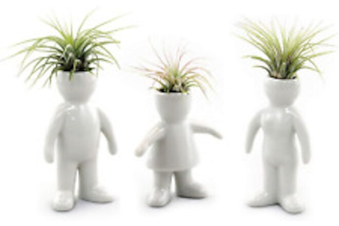 White Ceramic Man, Woman, and Girl Shaped Planters with Live Tillandsia Air P...