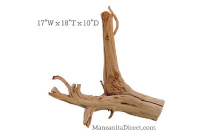 Manzanita Driftwood Stump, Aquarium or Reptile Decor from ManzanitaDirect 0320-9