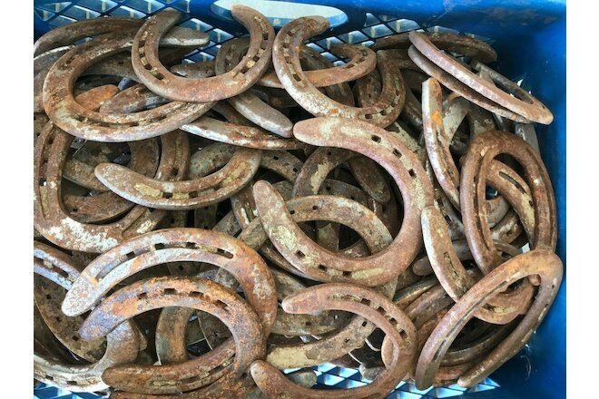 16 USED HORSESHOES RUSTY, NO NAILS GREAT FOR METAL WORKING ART