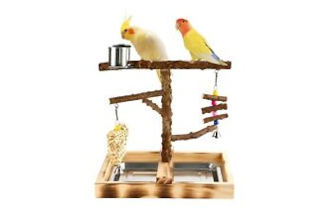 Natural Wood Parrot Toys and Bird Toys Extremely Accurate Birds Ideal Toy Bir...