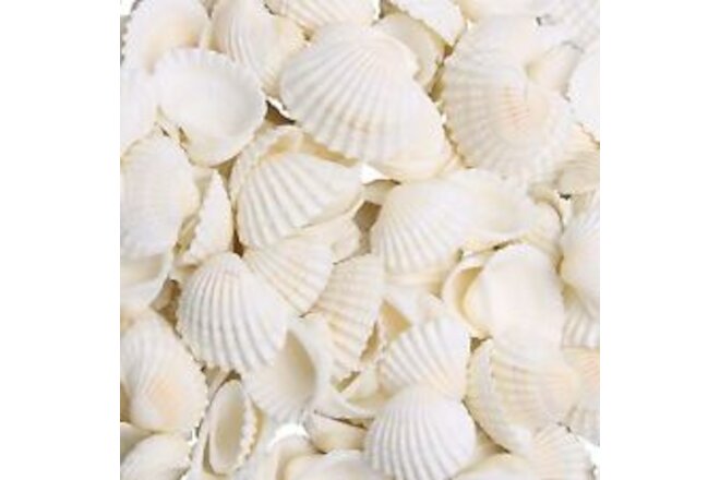 Small Sea Shells for Decorating, 330g 140~160pcs Bulk Tiny Seashells for Craf...