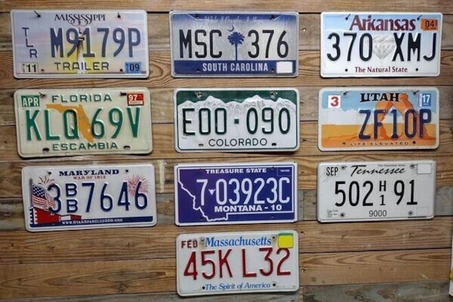 Variety Pack of 10 expired 2013 Mixed State Craft License Plate Tags ~ M9179P