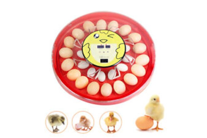 Automatic Egg Turner Machine 110v for 30 Eggs Incubators Quail Chicken Goose