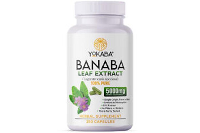 500 Capsules BANABA Leaf Extract 5000mg Corosolic Acid 3.8mg Lagerstroemia