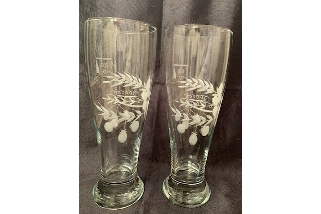 Vintage set of 2 Germany 9" Tall Itched Floral Beer Glass 0.5 L RARE!
