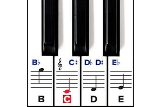 Piano Stickers for Keys – Removable w/Double Layer Coating for 49/61 / 76/88 ...