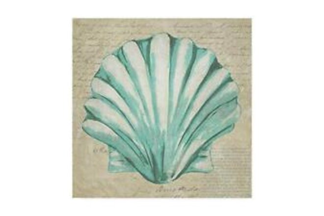 Seafoam Shell II by Chariklia Zarris, 14x14-Inch, 14 in x 14 in