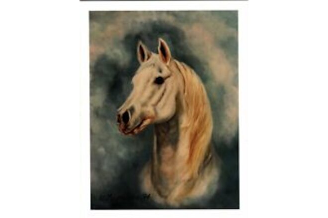 New White Horse Profile Head Study Notecard Set - 6 Note Cards By Ruth Maystead