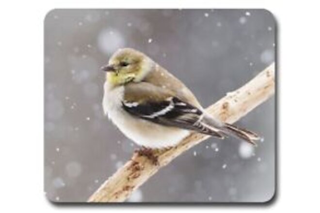 Goldfinch Winter ~ Mouse Pad / PC Mousepad ~ Bird Watching Feeder Birding Gift