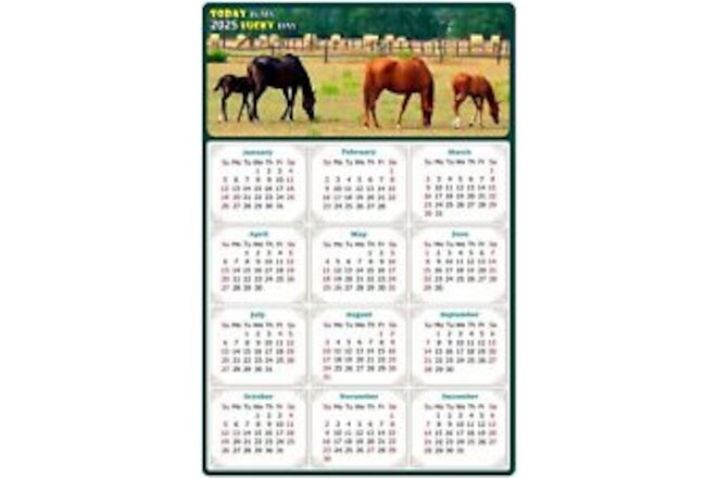 2025 Peel & Stick Calendar - Today is my Lucky Day Removable - Horses 010 9"x 6"