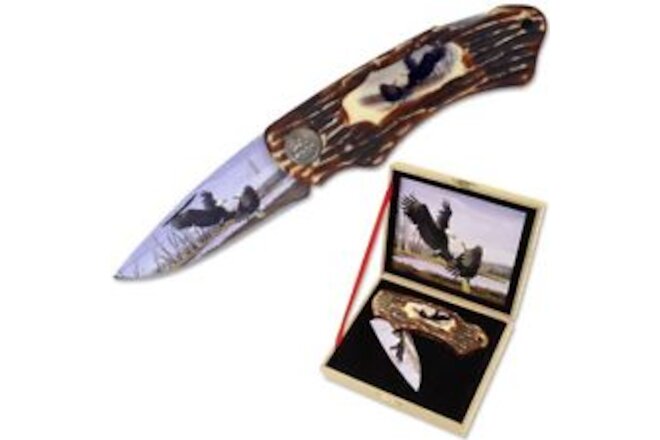 Folding Eagle Knife And High Quality Wood Display Case