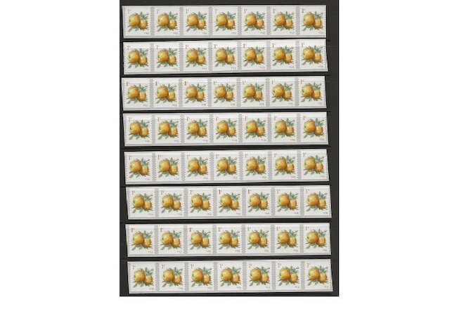 Albermarle Pippin Apples coil stamps 56 mint never hinged only 99 cents!