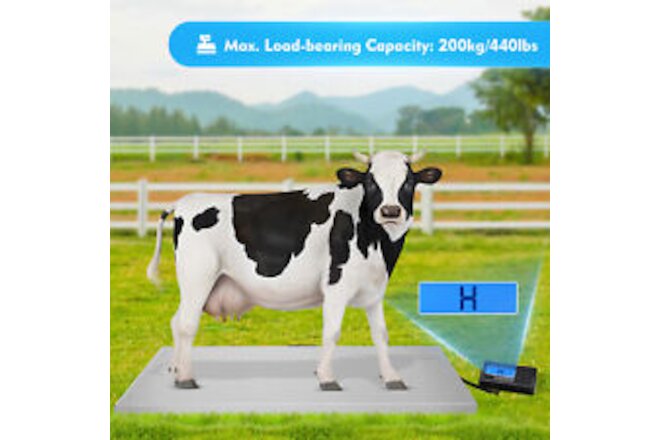 Veterinary Scale Heavy Duty 440LB Digital Livestock Platform Scale Bench Scale