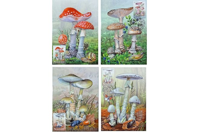 Belarusian mushrooms. Maxi Cards (FDC)