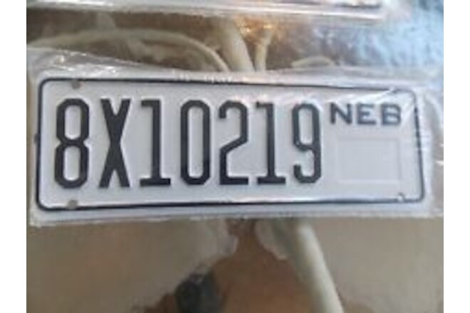 Nebraska Trailer Plate 8X10219 Hall County measures 9 1/4 by 3 1/4 inches