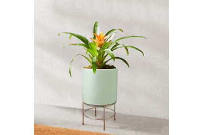 10 in Dia Green Ceramic Planter with Gold Stand