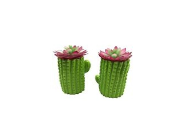 Retro Cactus Planter Pottery with Artificial Succulent Cactus Set 2 Garden Party