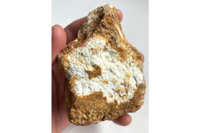 1 LB 3 OZ High Grade FINE GOLD ORE Southern California Raw Specimen 541.18 Grams