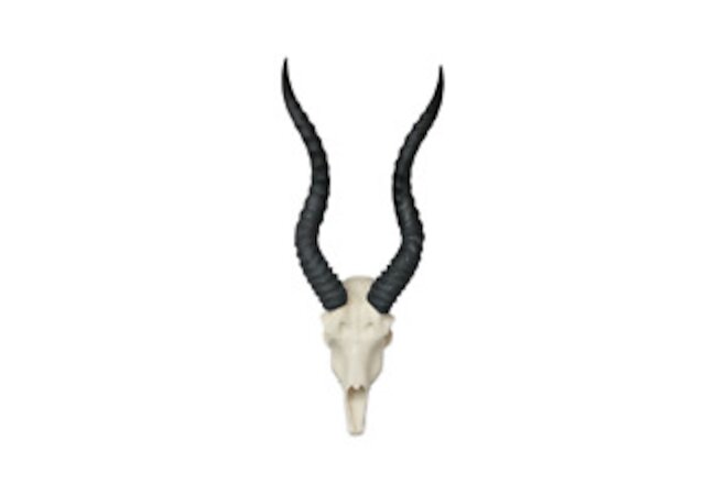 Blackbuck Indian antelope skulls Man Cave Taxidermy faux replica Interior Design