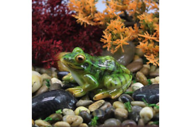 Frog Statue Vivid Handmade Fish Tank Resin Frog Sculpture Diy