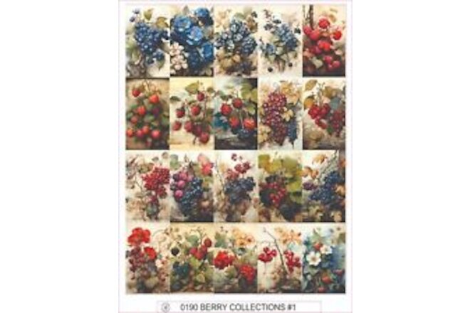 BERRY COLLECTIONS #1 -  COMPLETE SHEET OF 25 STICKERS