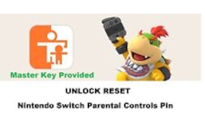 Nintendo Official Master Key - Unlock Reset Switch Parental Controls PIN