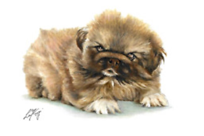 ✤ Original Oil Dog Portrait Painting PEKINGESE Artist Signed Artwork Art Decor