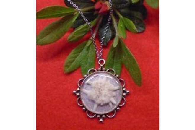 Edelweiss Dried Flower REAL Silver Tone Pendant Necklace Vintage Inspired NEW