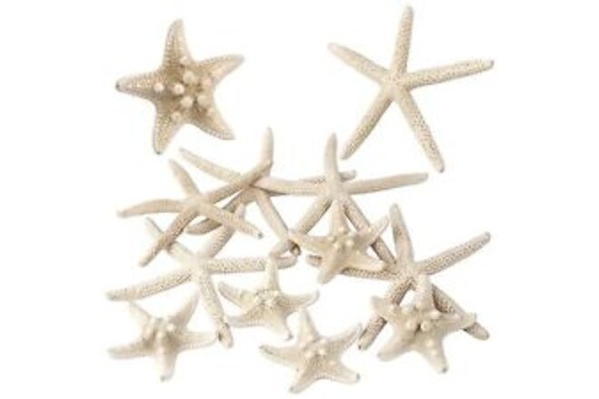 12 PCS Natural Starfish 2-4" for Crafts Making Beach Theme Party Wedding Deco...