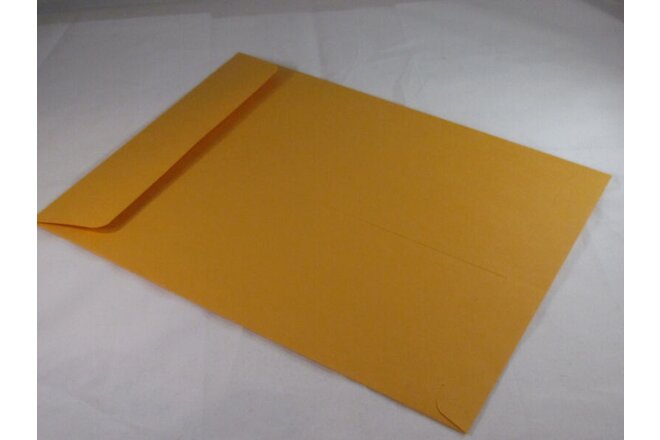 10 Manila 9 x 12 Kraft Catalog Mailing Envelopes Brown Self Seal Mailers  9”x12"
