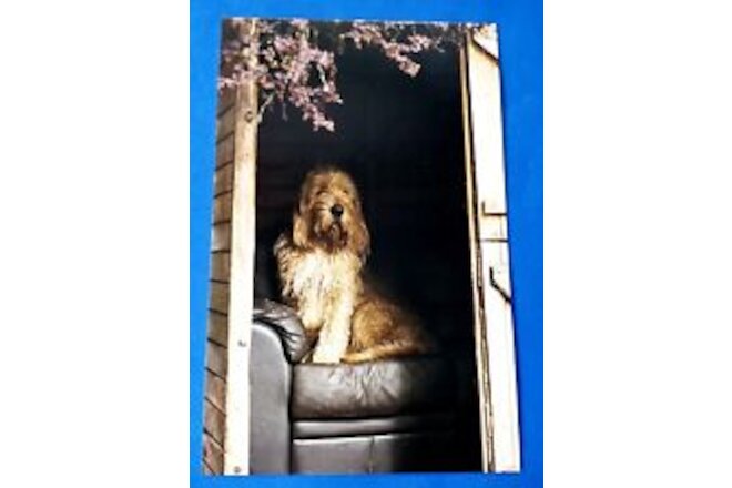 Postcard Otterhound Dog Astrid Harrisson Art Card 6" x 3.75"