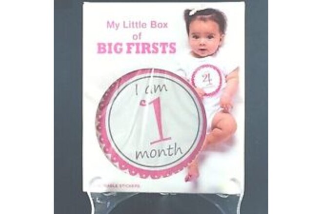 Gantz My Little Box of BIG FIRST Milestone Stickers Baby Girl Photo Picture