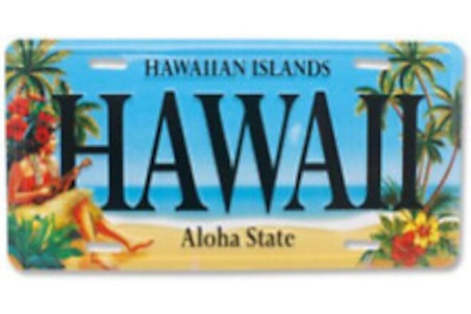 Hawaii Souvenir License Plate Vintage
