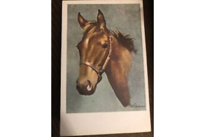 Horse Portrait, Pub by Cape Shore Paper, Portland Maine, Animal Art Postcard