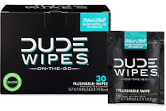 DUDE Wipes Flushable Wipes Individually Wrapped OTG Wet Wipes, Mint Chill, 30 ct