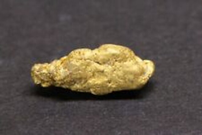 Gold nugget 1.8 Grams Imlay Canyon Placers  East Range  Pershing Co. NV