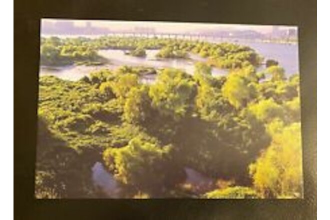Vintage Postcard Environment City Bam islet of Han-River Seoul Korea