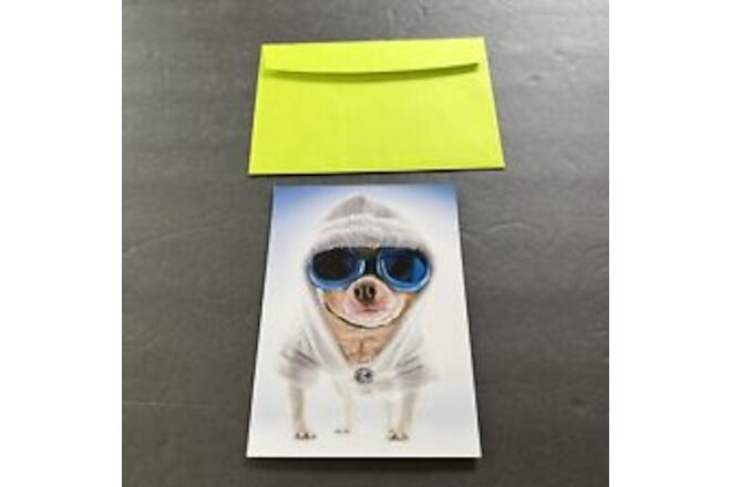Avanti Greeting card Birthday cool- Chihuahua
